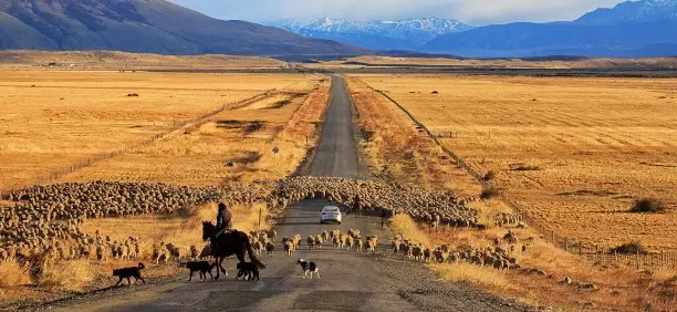 Best of Andes – 2 paso 