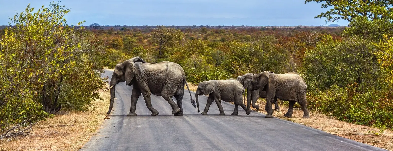 South Africa Cape Adventure Tour