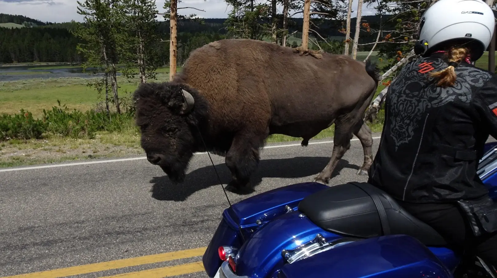 Buffalo Bill – The Mountain Tour